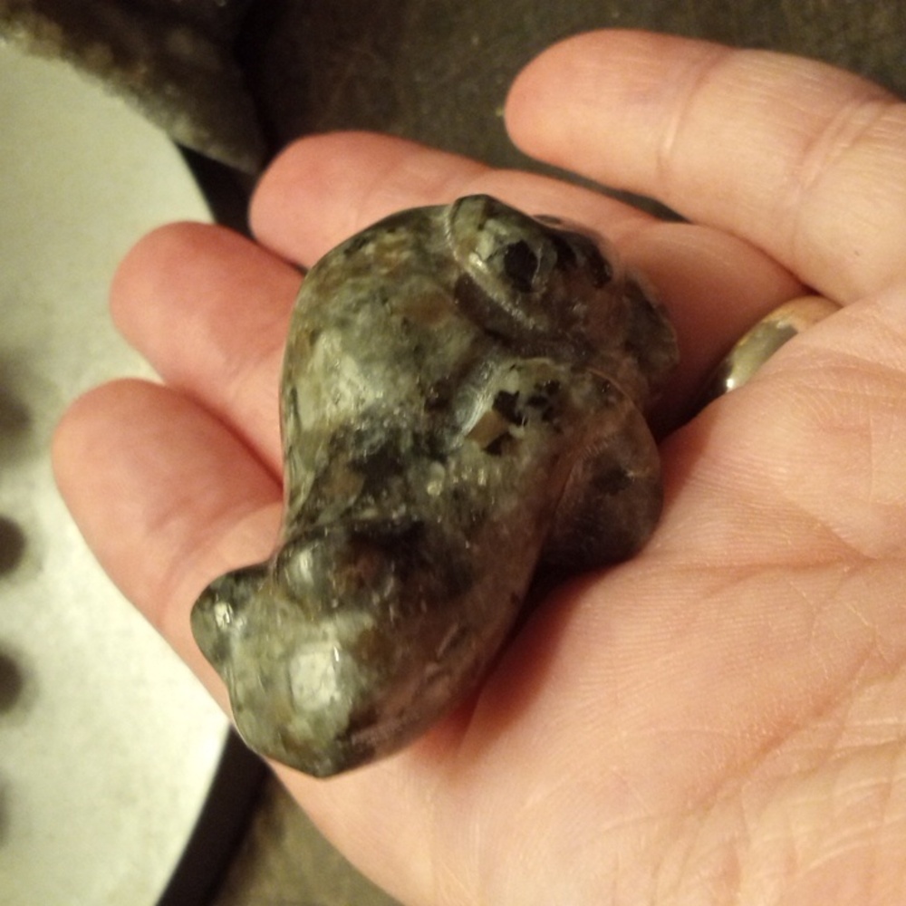 Yooperite frog 🐸